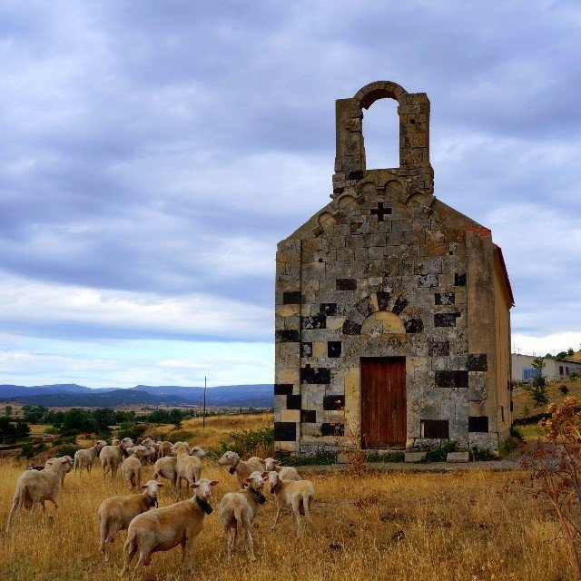 rebeccu-bonorva