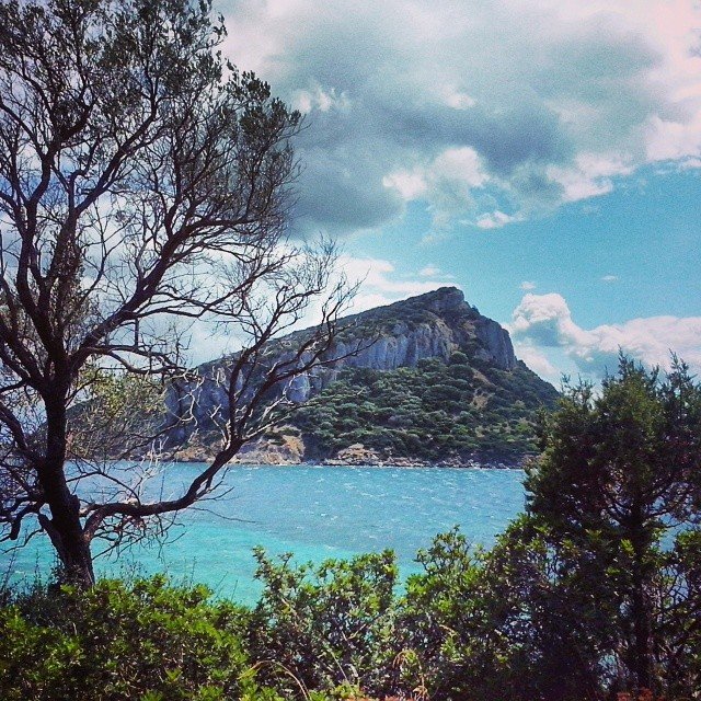 isola-figarolo-golfo-aranci