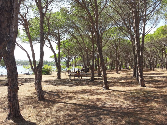 pineta-porto-pirastu
