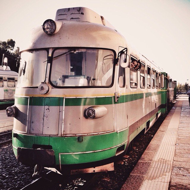 trenino-verde-a-mandas