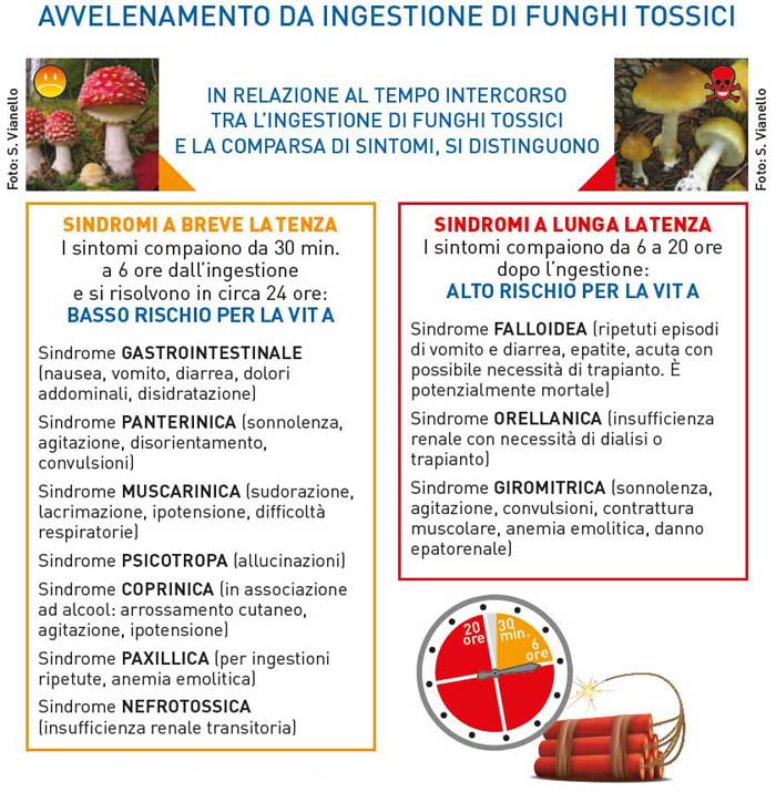 avvelenamento-da-funghi-tossici