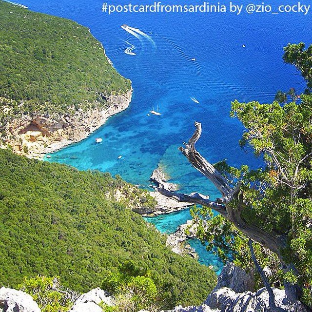 cala-bIriola