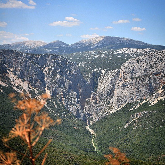 canyon-gorroppu