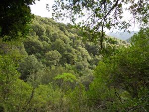 montagne-sardegna-domusnovas