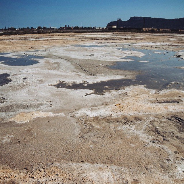 saline-molentargius-cagliari