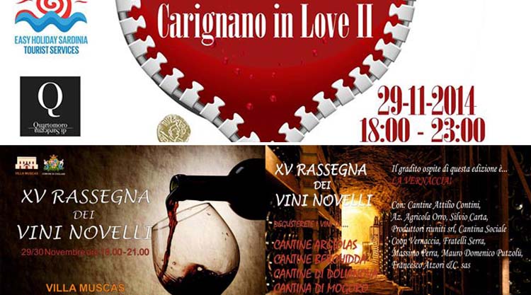 carignano-in-love-vini-novelli-cagliari-2014
