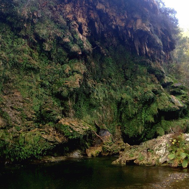 sa-stiddiosa-seulo