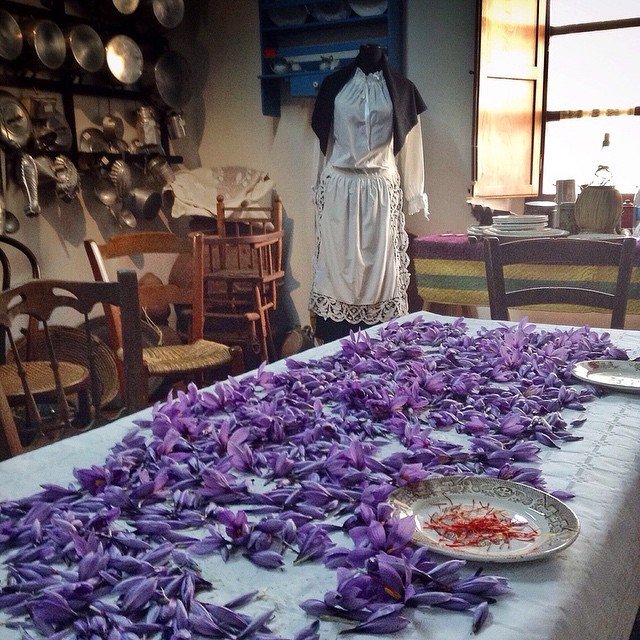 sagra-zafferano-san-gavino