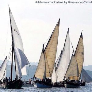 vele-latine-la-maddalena