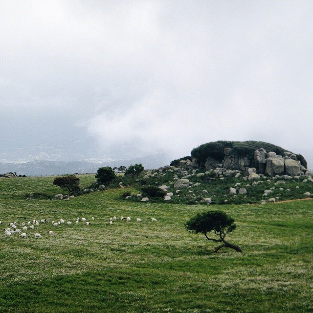 paesaggio-sardegna