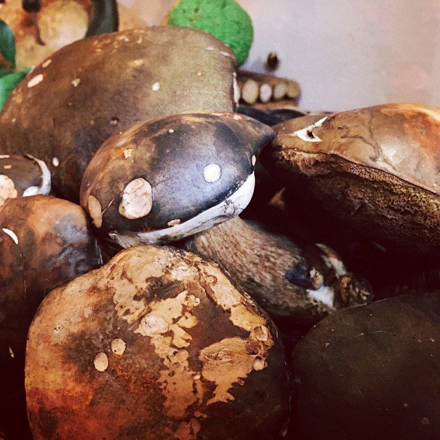porcini-sardegna