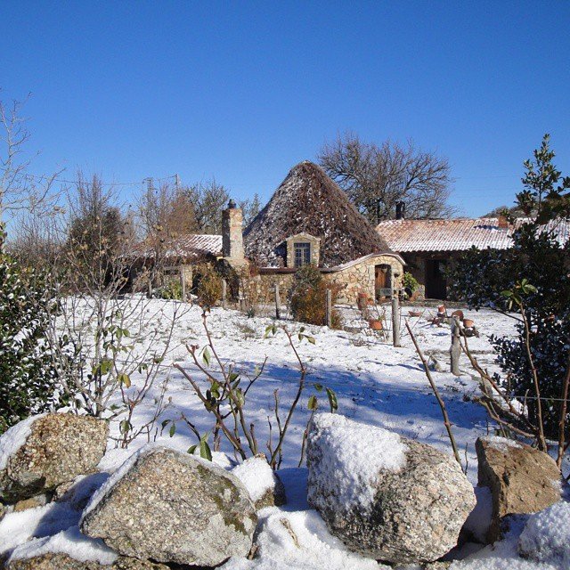 bruncuspina-neve-2014