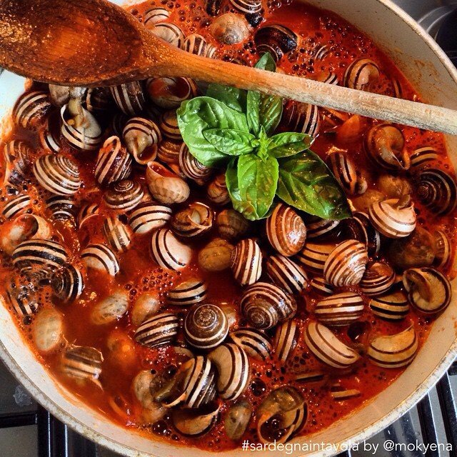 lumache-al-sugo