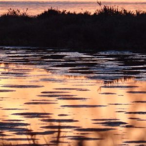parco-molentargius-saline