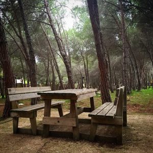 pineta-baddimanna-sassari