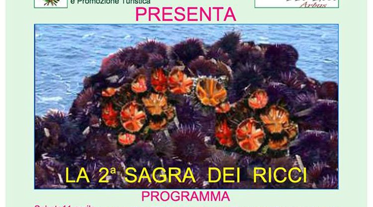 sagra-ricci-arbus-2015-manifesto