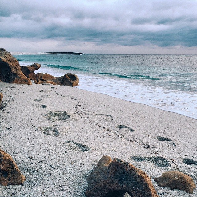 spiaggia-is-arutas-cabras-2