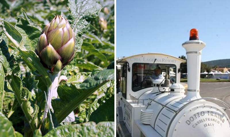 trenino-e-carciofi-masainas