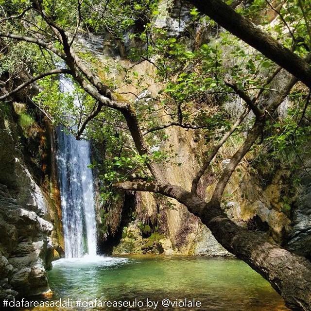 cascata-piscina-e-licona-sadali-seulo