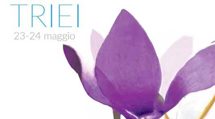 primavera-in-ogliastra-triei-manifesto-2015