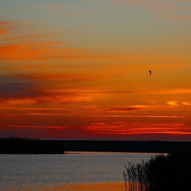 foce-fiume-coghinas