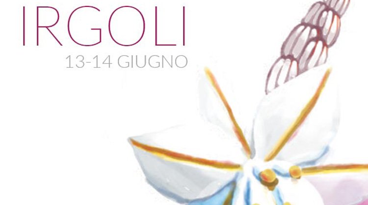 primavera-in-baronia-irgoli-locandina-2015