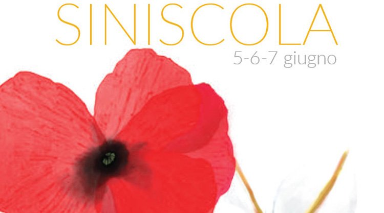 primavera-in-baronia-siniscola-manifesto-2015