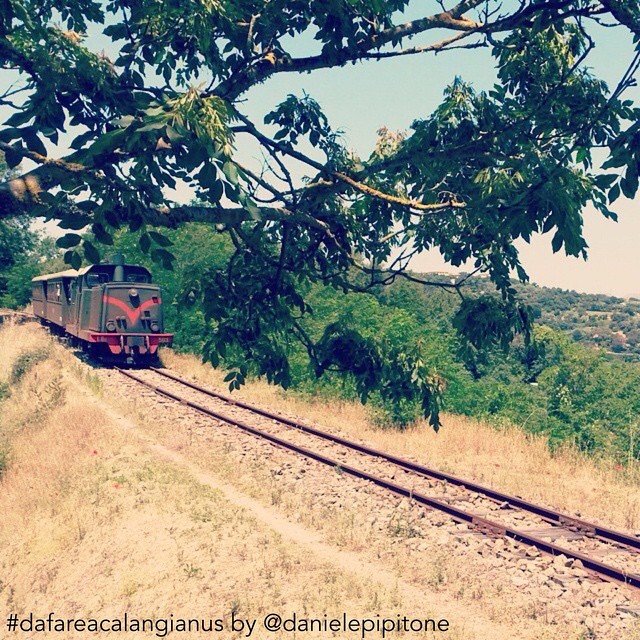 trenino-verde-in-gallura