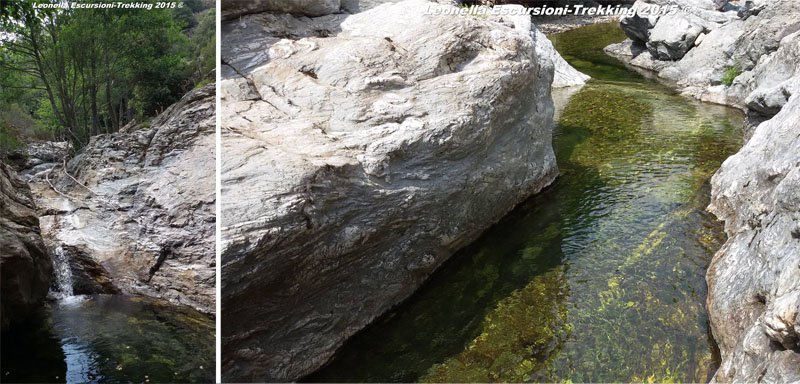 accu-tedderi-piscine