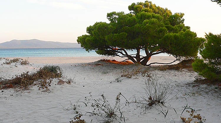 spiaggia-di-porto-pino
