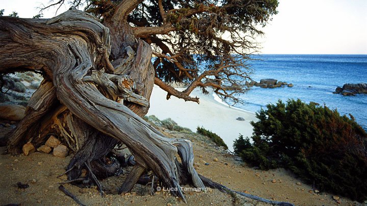 Luca-Tamagnini-Libro-Fotografico-Sardegna-Mari-e-Coste-Villasimius--16