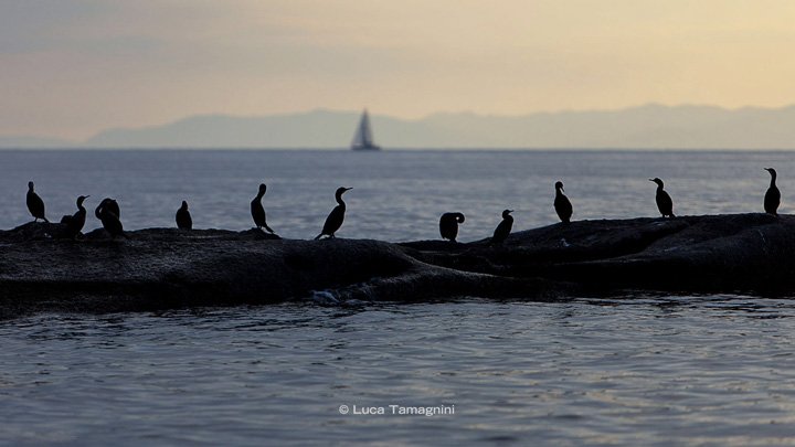 Luca-Tamagnini-Libro-Fotografico-Sardegna-Mari-e-Coste-Villasimius--2