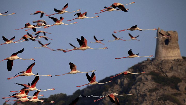 Luca-Tamagnini-Libro-Fotografico-Sardegna-Mari-e-Coste-Villasimius--9