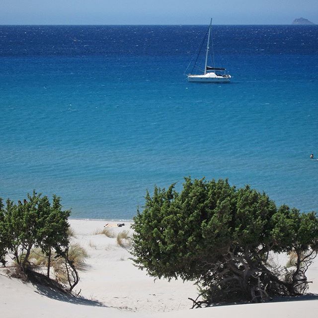 porto-pino