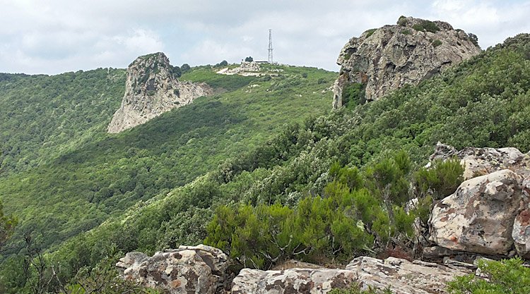 trebine-monte-arci-2