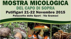 mostra-micologica-capo-di-sopra-putifigari-2015
