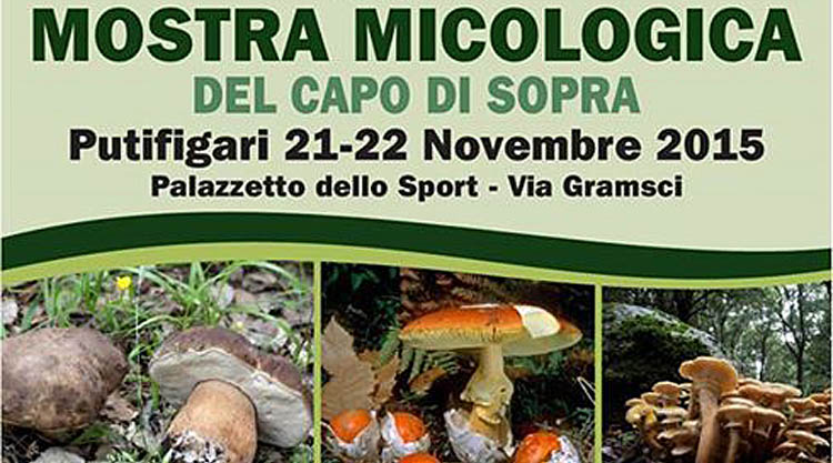 mostra-micologica-capo-di-sopra-putifigari-2015
