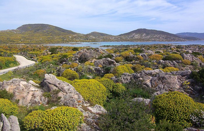 panorama-asinara