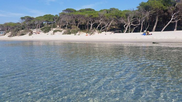 spiaggia-maria-pia-alghero-pineta