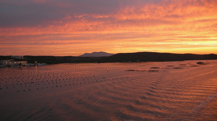 alba-olbia
