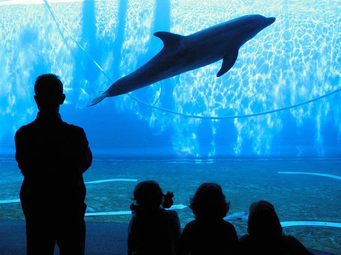 acquario-genova