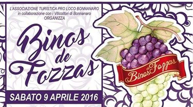binos-de-fozzas-bonnanaro-manifesto-2016