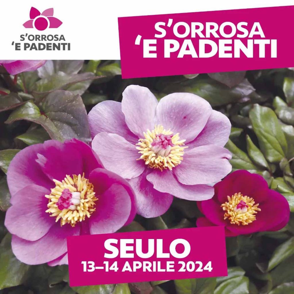 S'Orrosa e Padenti Seulo 2024, date e manifesto