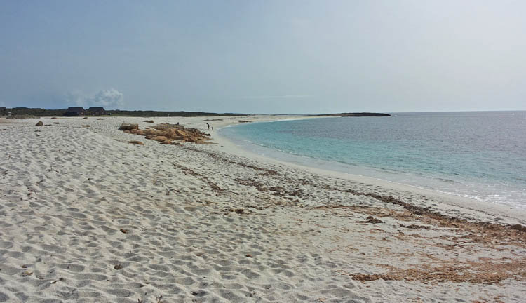 spiaggia-is-arutas