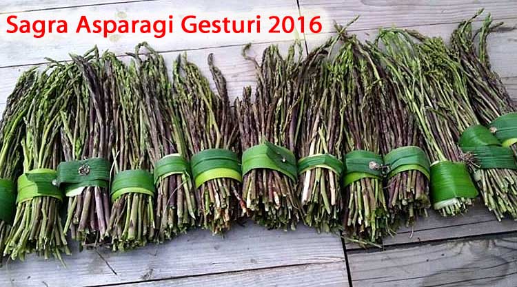 sagra-asparagi-gesturi-manifesto-2016