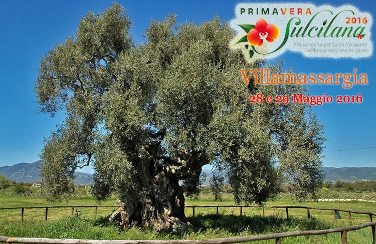 primavera-sulcitana-villamassargia-2016-sa-reina