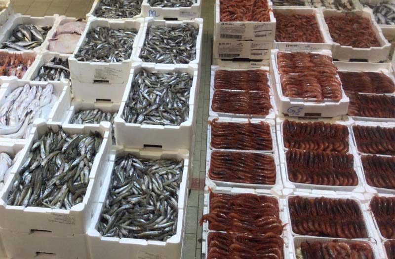 Sagra del pesce di Sant'Elia