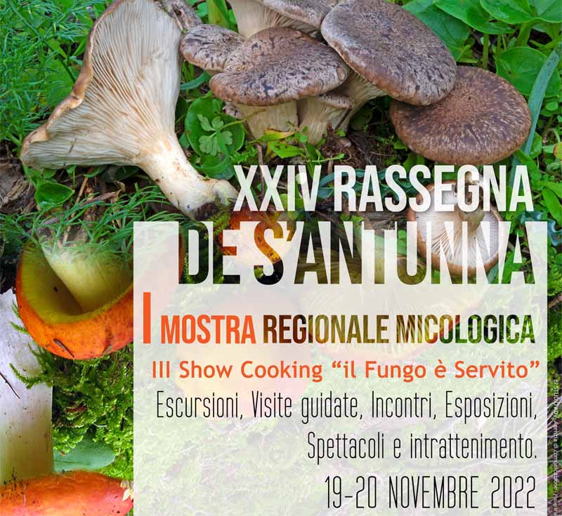 Antunna 2022 a Macomer, manifesto e programma