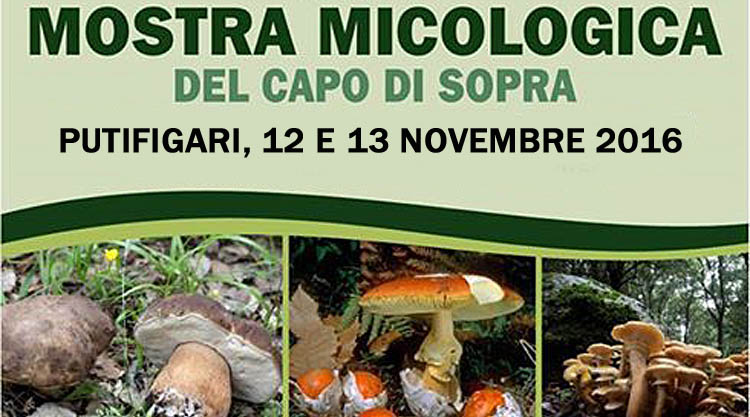 mostra-micologica-capo-di-sopra-putifigari-manifesto-2016