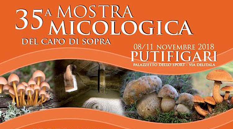 mostra-micologica-putifigari-manifesto-2018